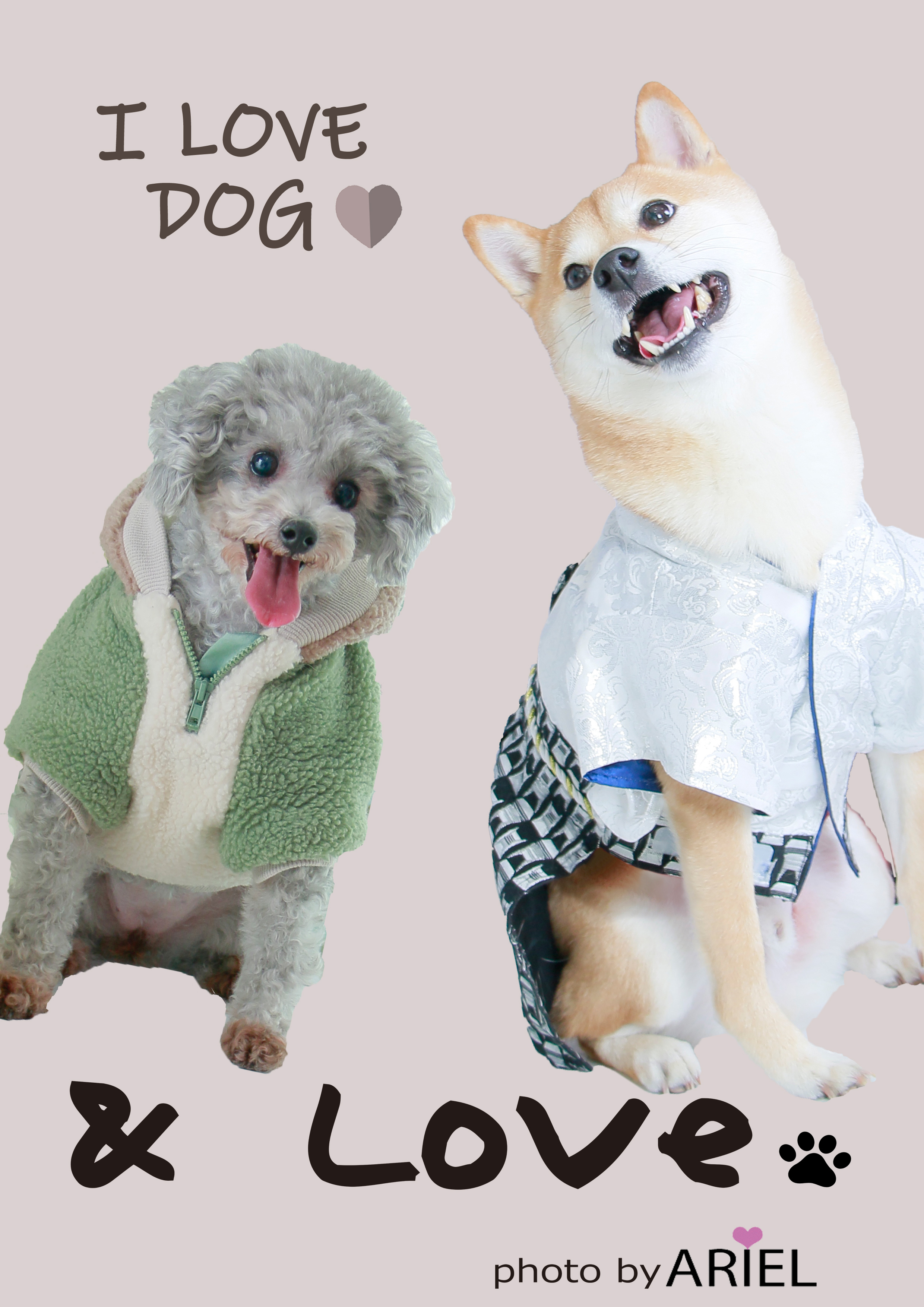 I love dog