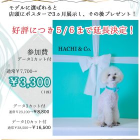 募集延長チラシ