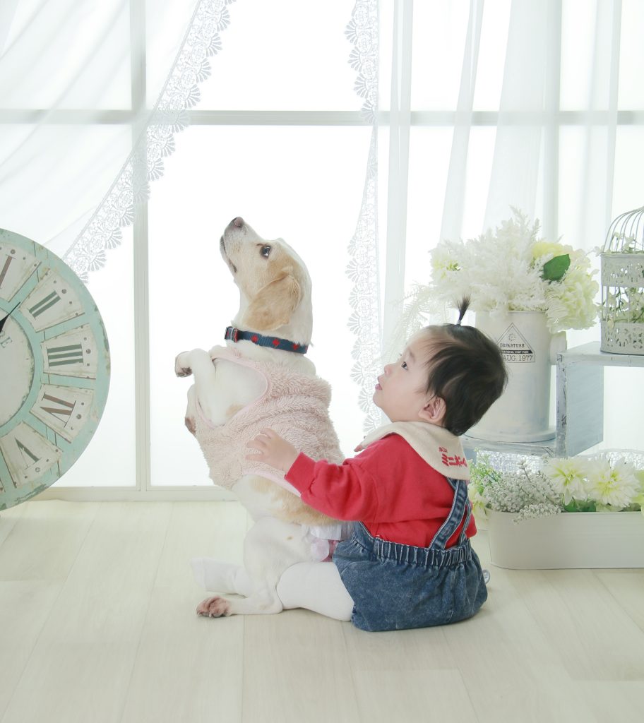 赤ちゃんと犬