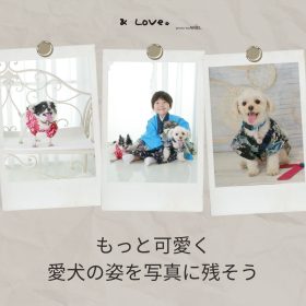 ワンちゃん撮影チラシ